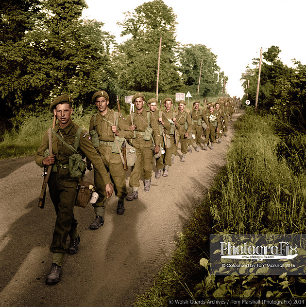 The 1st Battalion Welsh Guards move forward, Normandy, July 1944.