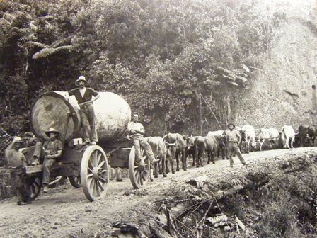 Early logging truck. source