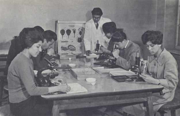 Afghan women studying biology before the Taliban takeover. [c. 1950s]