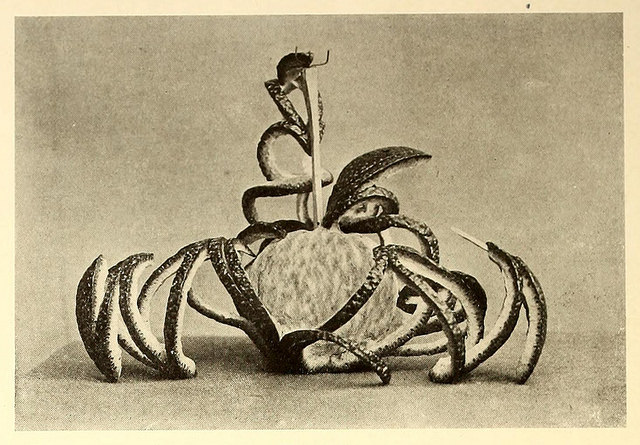 Fig. 10 shows a realistic and a life-like design in the carving of a serpent which is made by the pulling away of the strips after they have been cut.