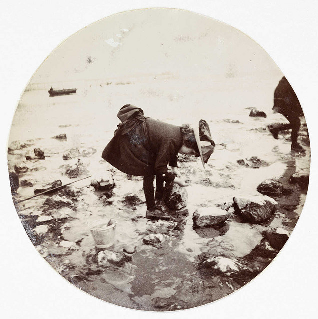 Girl looking in a rock pool, about 1890