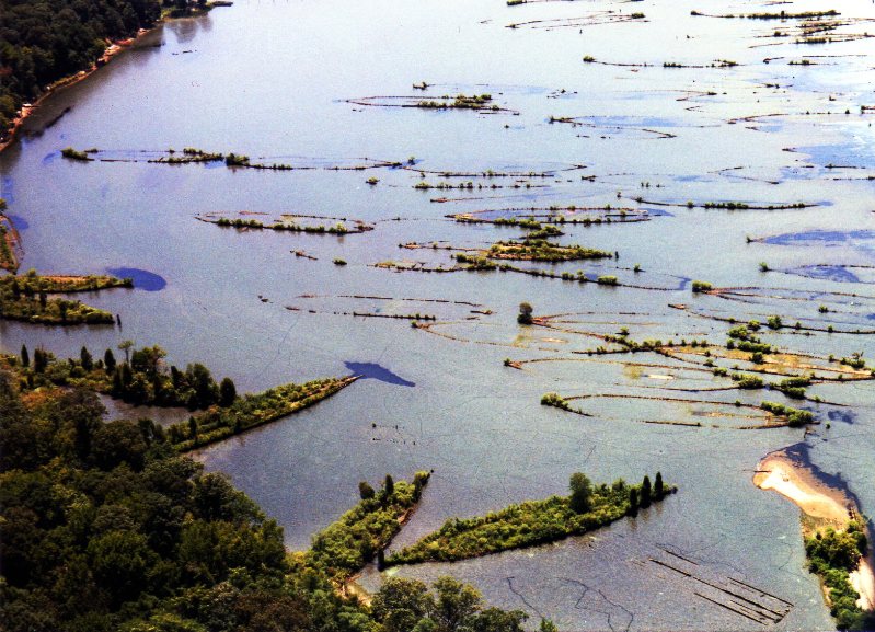 Hundreds of ships, most from the early 20th century, make up the 'Ghost Fleet' of Mallows Bay. (Don Shomette)