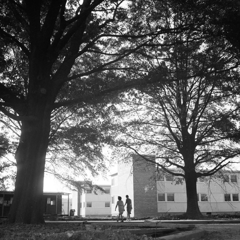 Residents-stroll-the-tree-lined-campus-of-Arlington-Farms