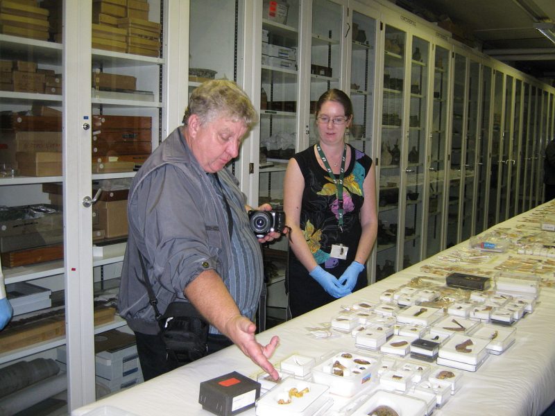 Terry Herbert examining items from the Staffordshire Hoard at the British Museum in October 2009. The items have been laid out for valuation by the Treasure Valuation Committee. source