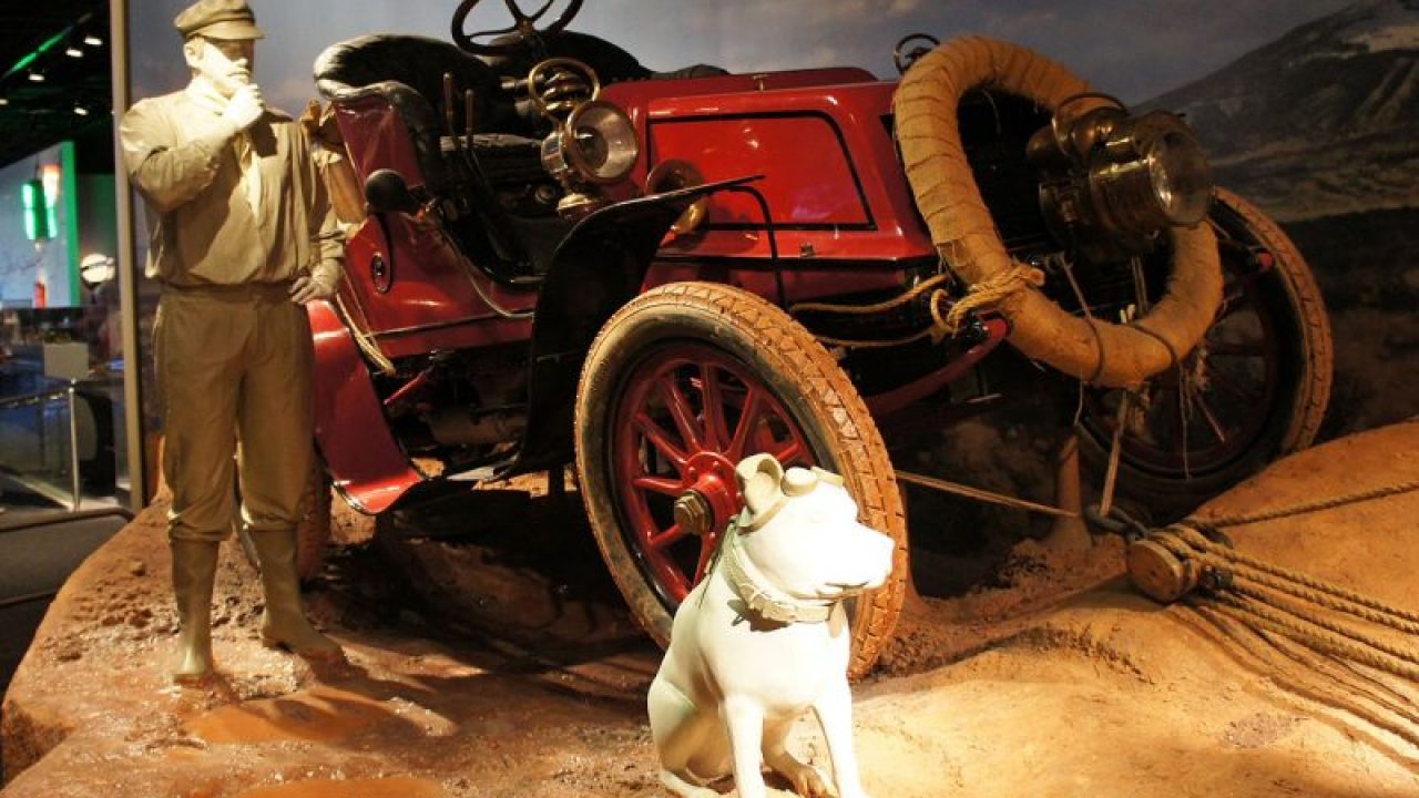 cross country road trip with dog