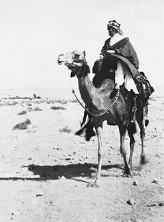 Home | Lawrence of arabia