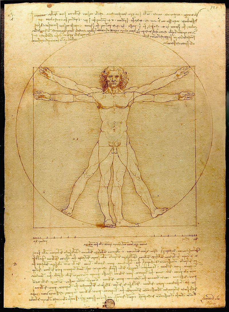 Leonardo da Vinci's Vitruvian Man (c. 1490).Source