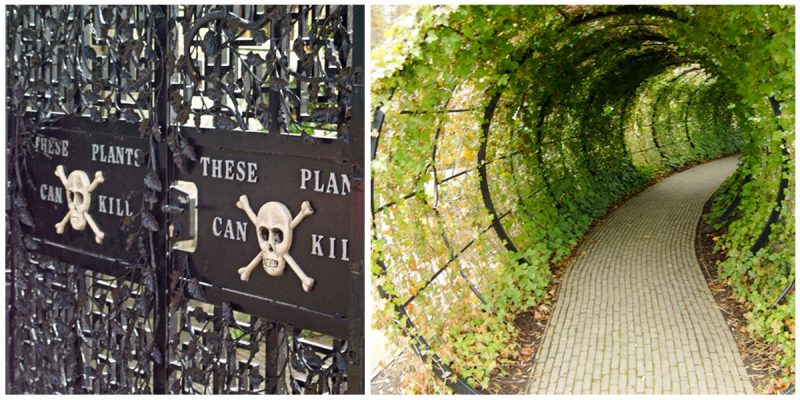 The Alnwick Poison Garden Is The Most Dangerous Garden In The