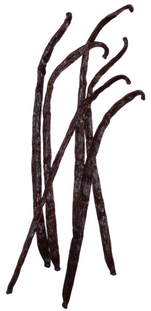 Vanilla fruits, dried By B.navez - Photo : B.navez, CC BY-SA 3.0, https://commons.wikimedia.org/w/index.php?curid=436896
