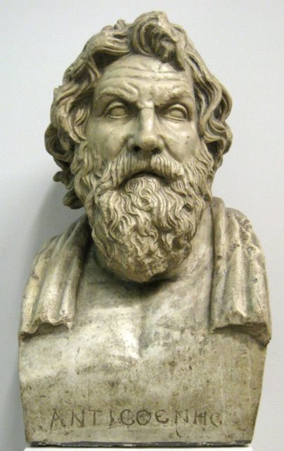 bust-of-antisthenes By user:shakko - Own work, CC BY-SA 3.0, <a href=