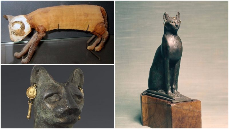 In Ancient Egypt, cats were sacred killing one was punishable by