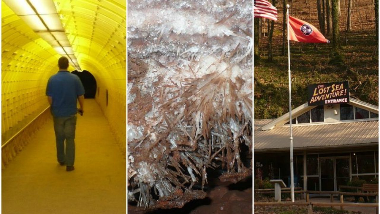 The Craighead Caverns In Tennessee Contain The United States