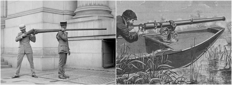 punt gun – the massive vintage gun that could kill 90