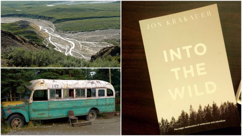 Image result for into the wild