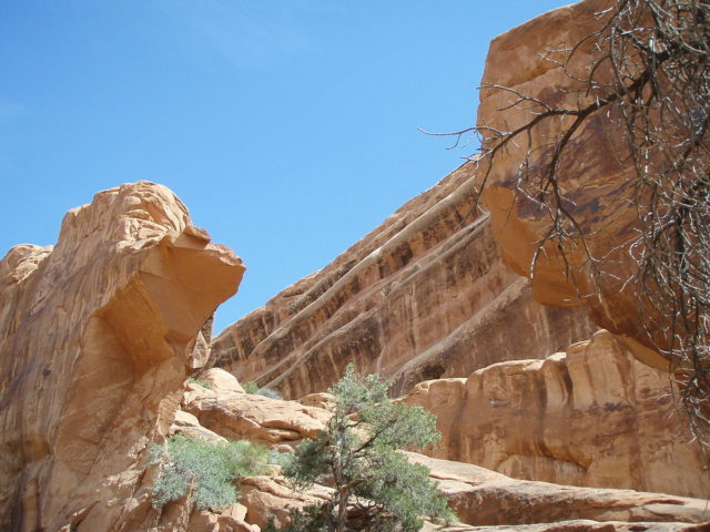 Wall Arch within days after the collapse.