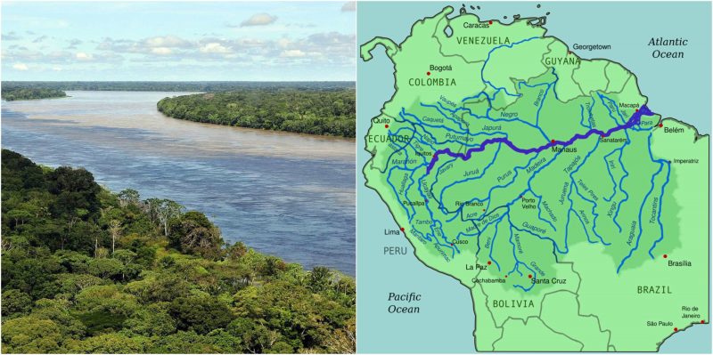 Image result for the amazon river