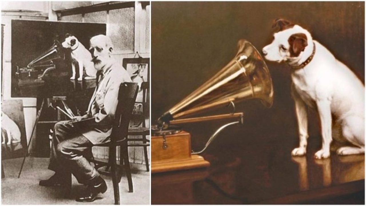 His master&#39;s voice&quot; - The origins of the famous Jack Russell terrier, Nipper, the canine advertising icon for many gramophone companies
