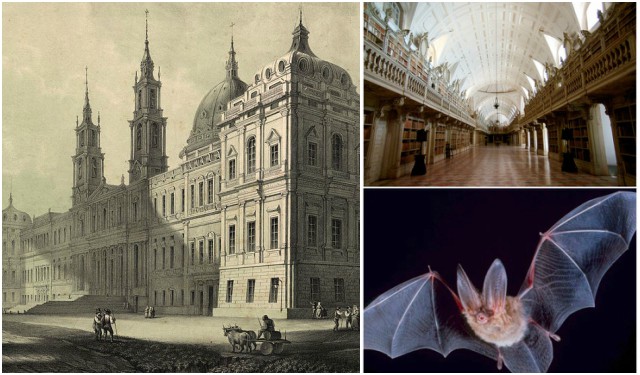 Mafra Palace Library Bats : Mafra Palace Library - Mafra, Portugal