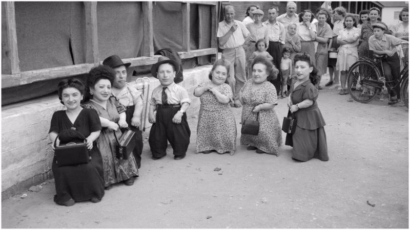 The dwarfs of Auschwitz: how the 12 Ovitzes, all related, managed ...