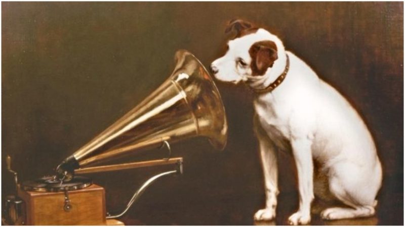 Jack Russell History