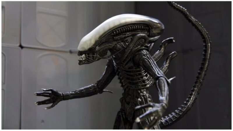 To make it more frightening, H. R. Giger designed an Alien with no eyes
