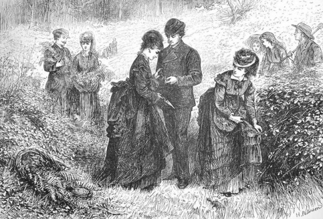 Gathering Ferns (Helen Allingham) from The Illustrated London News, July 1871.
