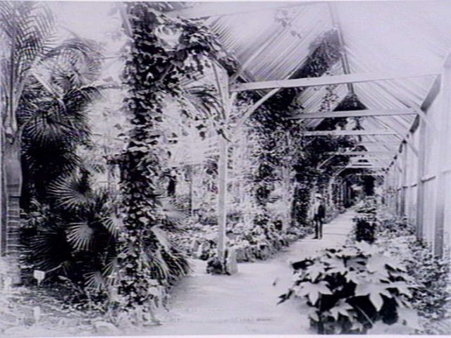 Fernery at the Geelong Botanic Gardens, (1892-1902)