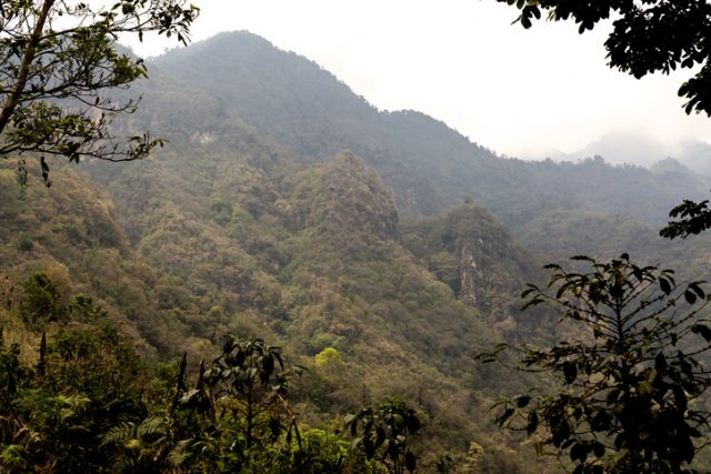The dense green jungle and mountains of Guatemala.