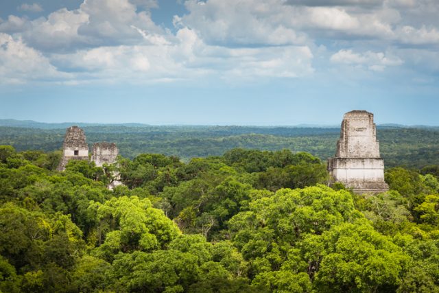 Aerial view over the green Rainforest of Tikal Guatemala Temple Complex Rainforest. Jaguar Pyramid Tikal Temple I Mayan Pyramid and Temple II Tops peaking over the green rainforest trees. Tikal National Park, Unesco World Heritage Site. Tikal, Guatemala, Central America.