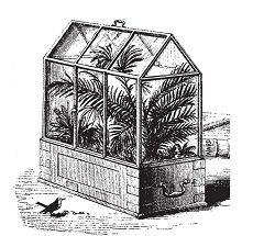The Wardian case, a forerunner of the terrarium, helped protect Victorian fern collections from the air pollution of the era.