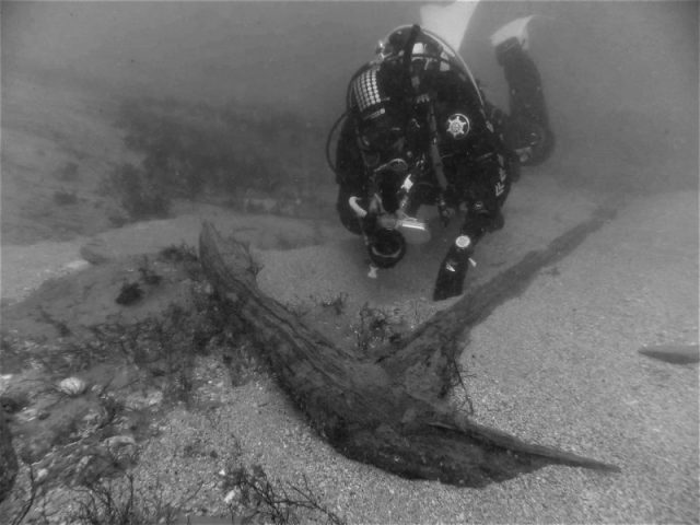 Mark Milburn with an anchor on the wreck. Photo by David Gibbins