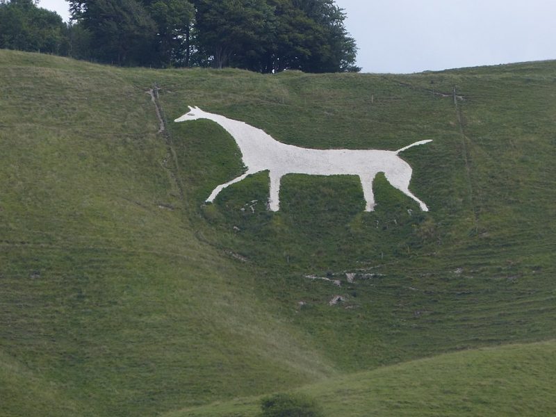 The ancient and mysterious chalk white horses The Vintage News