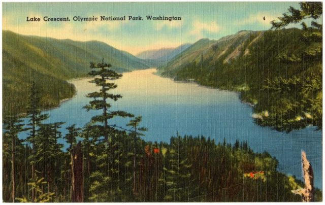 Postcard depicting Lake Crescent, Olympic National Park, Washington.