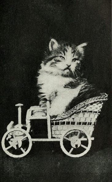 “Okay, I’ll ride in the carriage if you let me round up some mice to pull it.”