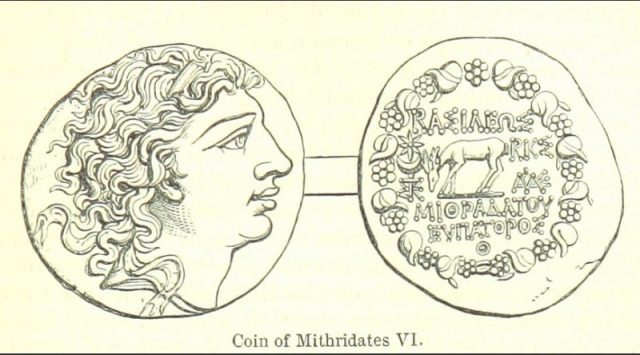 A coin depicting Mithridates VI
