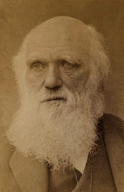 Charles Darwin c. 1881.