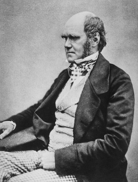 Darwin, c. 1854