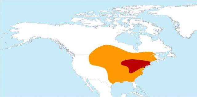 Distribution map of the Passenger Pigeon (Ectopistes migratorius). In orange-normal zone. In red-breeding zone. Photo by Valerie Chansiguad CC BY SA 1.0