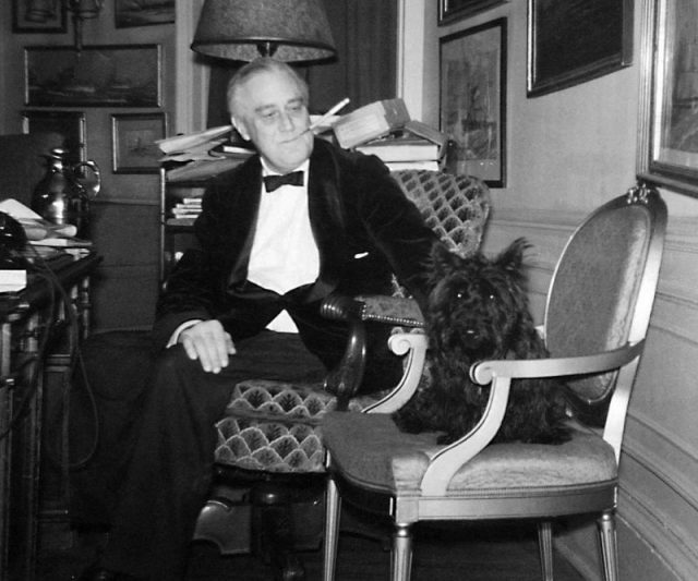 Franklin D. Roosevelt and Fala in the White House study (December 20, 1941).