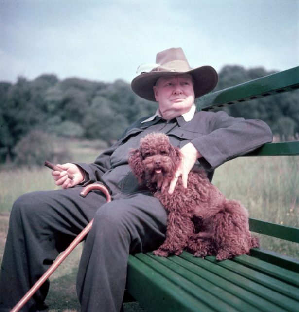 Winston Churchill and pet dog Rufus II. Photo by Mark Kauffman/The LIFE Picture Collection/Getty Images