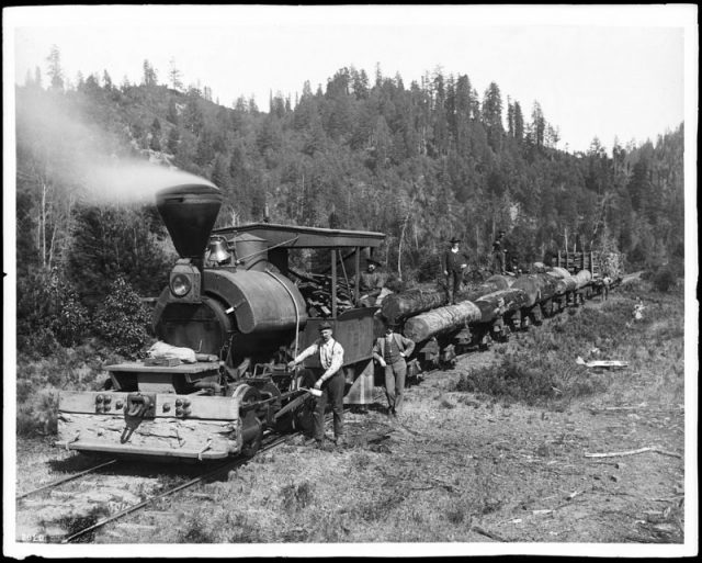 Logging train loaded with logs, c.1900.