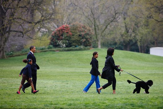 The Obamas walking with Bo.