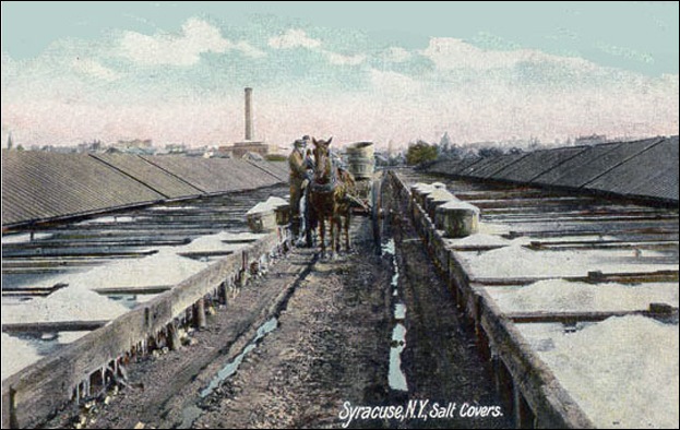 Syracuse 1900 salt-covers.