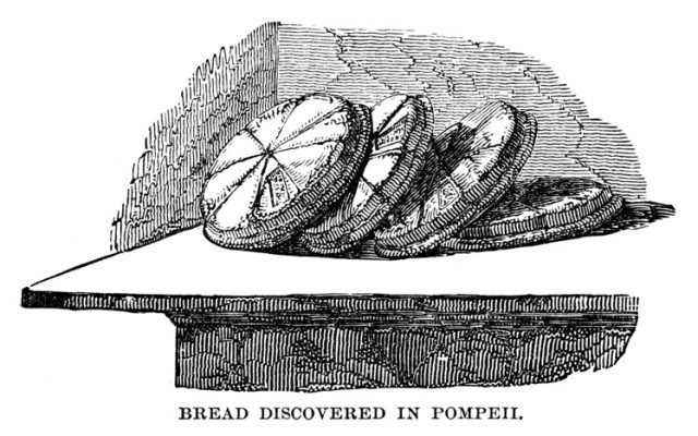 Bread discovered in Pompeii – scanned 1882 Engraving