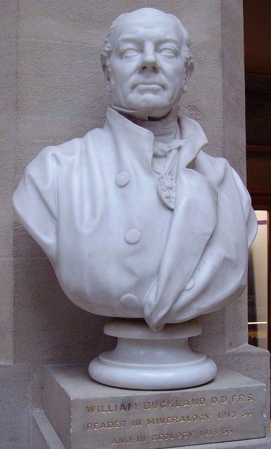 Bust of William Buckland, in the Oxford University Museum of Natural History. Photo by Ballista CC BY-SA 3.0