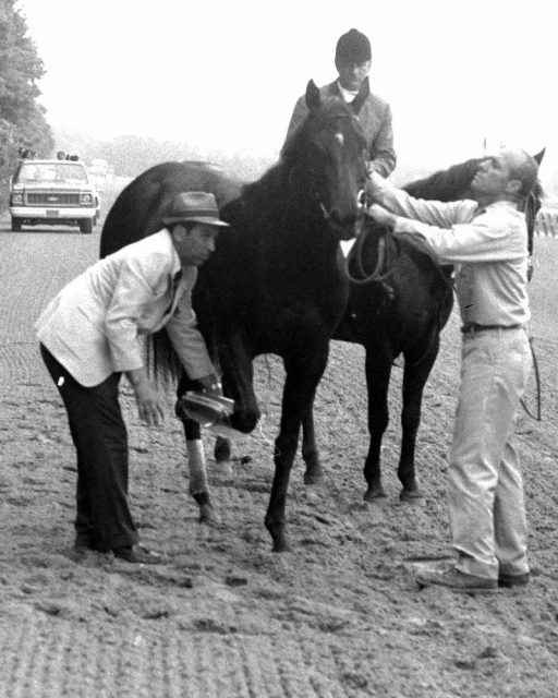 Moments after injury, track vet Manuel Gilman (left) rushes to aid Ruffian. Jockey Jacinto Vasquez pulled her up with a compound fracture of the right front during her $350,000 match race with Derby winner Foolish Pleasure at Belmont Park. (Photo by Anthony Casale/NY Daily News Archive via Getty Images)