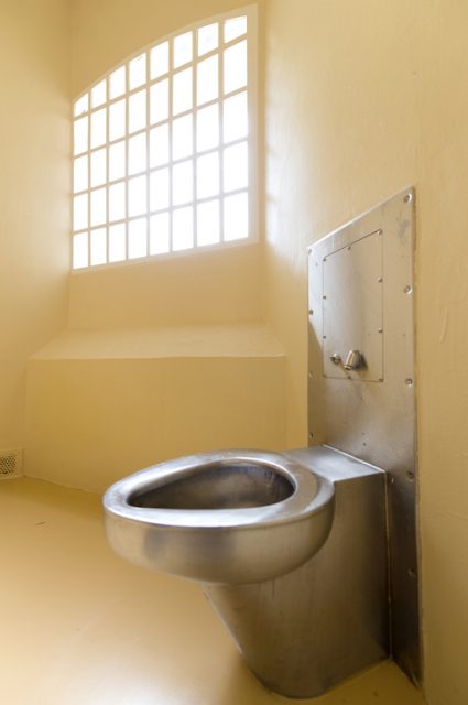 Michael Godwin electrocuted himself accidentally while sitting on a steel toilet in his cell,