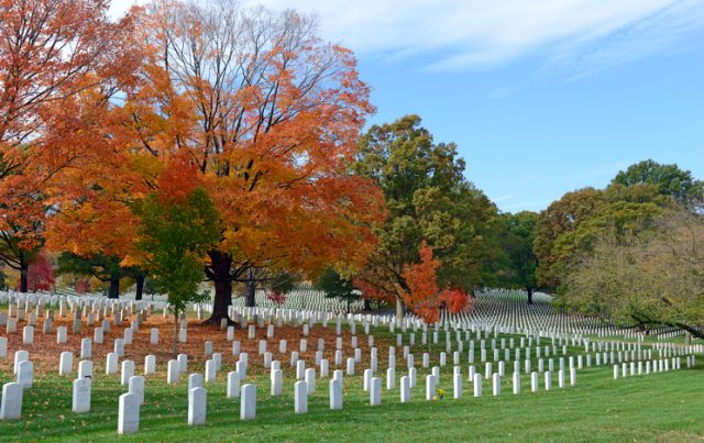 Headstones in Arlington National Cemetery in Washington, DC.