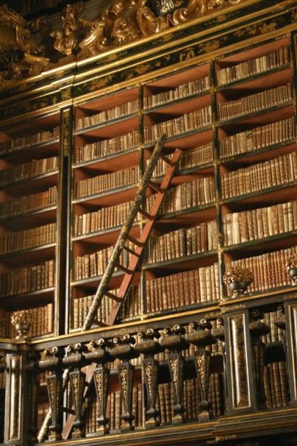 The second-floor stacks in the library of the old university of Coimbra. Photo by Ernesto von Rückert CC BY 3.0