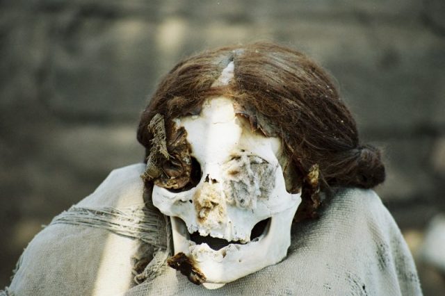 Peruvian mummy with hair intact.